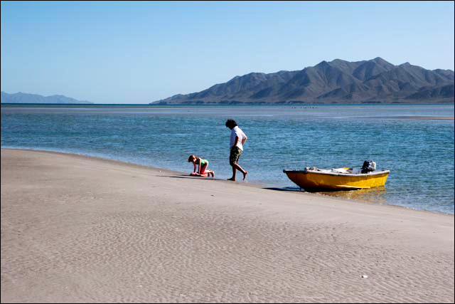 Photo copyright Selkirk/Gatehouse