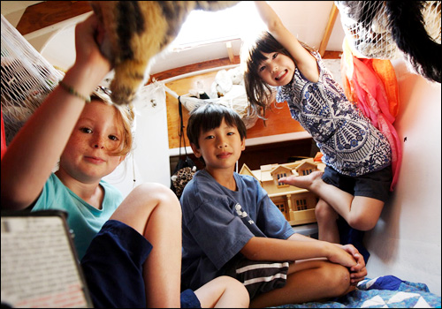 Photo copyright Selkirk/Gatehouse