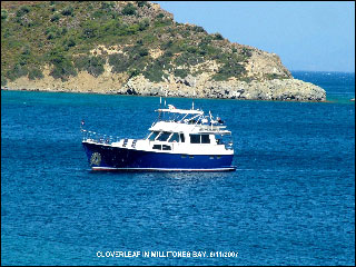 M/V Cloverleaf